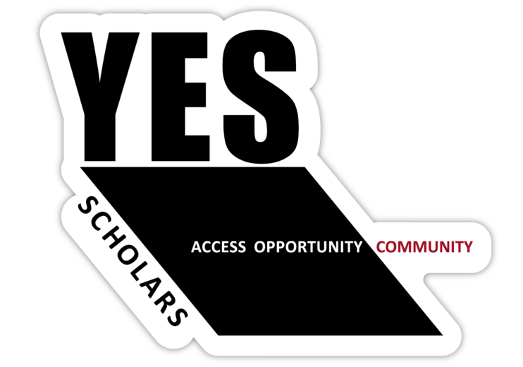 Yes Program – New York